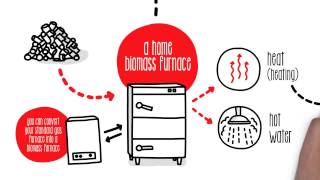 How does biomass work? | Sustainability