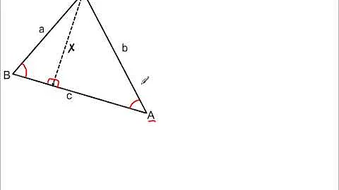 A Proof of The Law of Sines