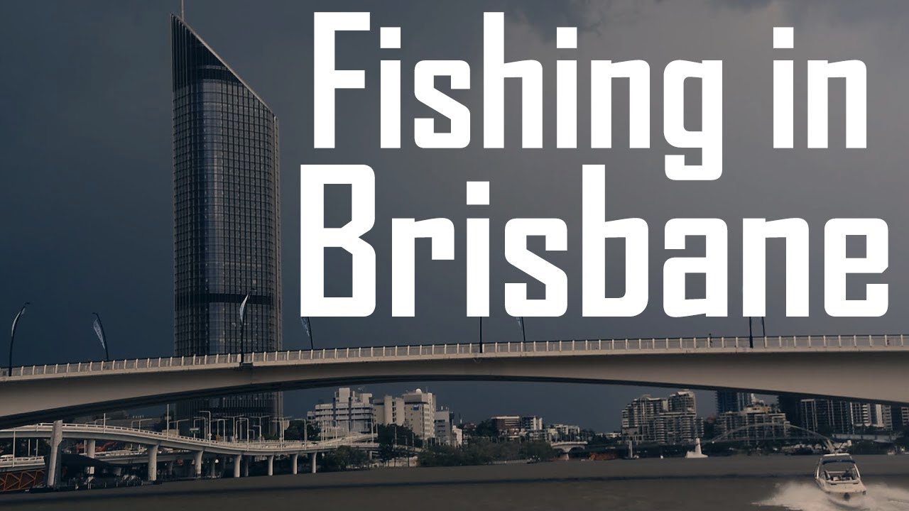 Fishing at BRISBANE CITY!, Australia YouTube