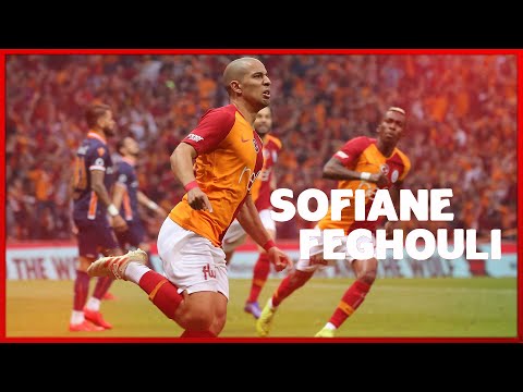 Sofiane Feghouli - Tüm Süper Lig Golleri