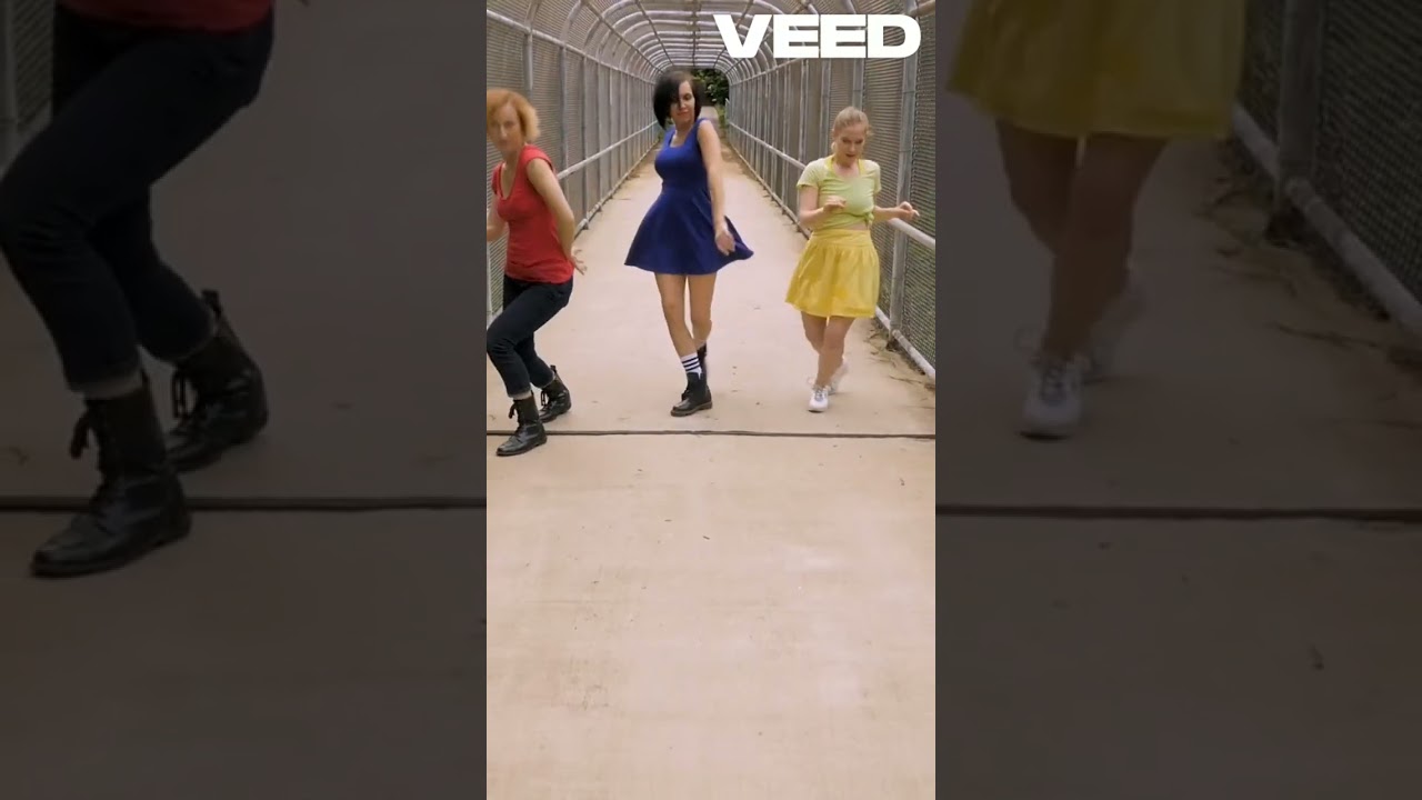 Dancing Forest of Russia  Nature's Oddity 