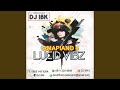 DJ IBK 2023 MIX (feat. Dj IBK)