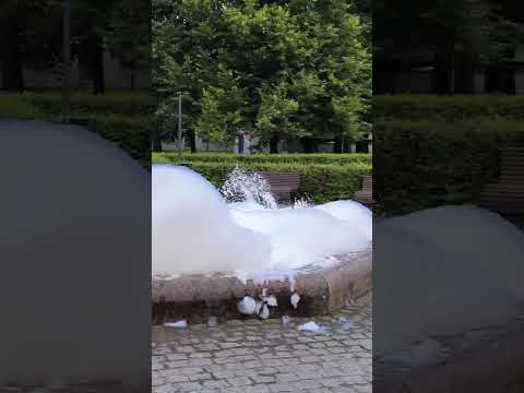 Fountain fills with foam after detergent spill in Tallinn, Estonia