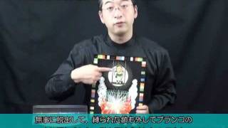【マジック・手品】 K7340 DPG 幻の名画（フーディニーの脱出）