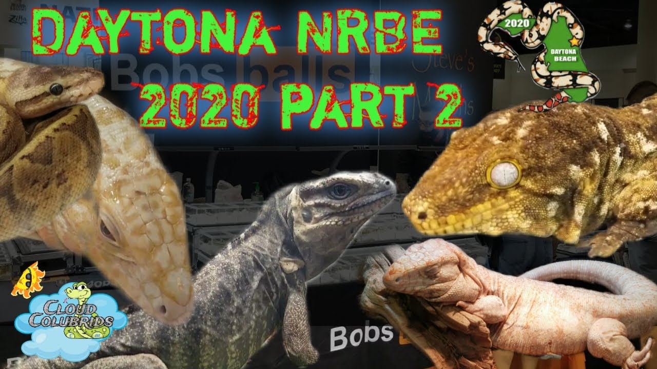 Daytona National Reptile Breeders Expo 2020 Part 2 YouTube