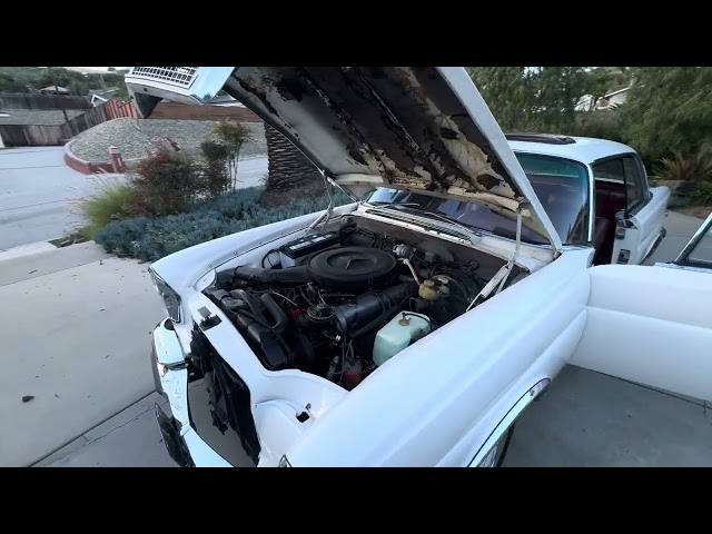 No Reserve: 41-Years-Owned Euro 1970 Mercedes-Benz 280SE 3.5 Coupe