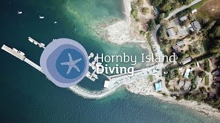Hornby Island Diving, British Columbia, Canada  scuba diving lodge