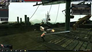 마영전 Vindictus Bug Report 6
