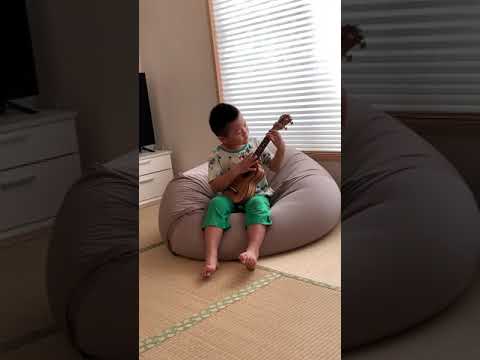 島人ぬ宝　ウクレレ