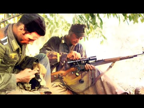 345 убийств. История снайпера Второй мировой.