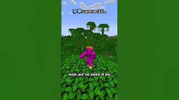 Minecraft 1.20 Release Date (probably)