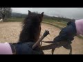 VBLOG SALTO a CABALLO! | GOPRO | 4K | ElenaHorseRider