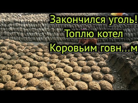 Топлю котел #Кизяком. Реальный опыт!