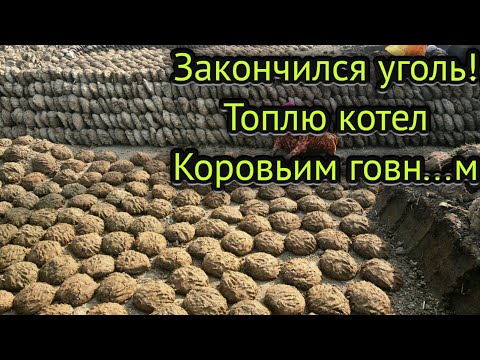 Видео: Можно ли использовать навоз в качестве топлива?