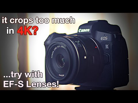 Canon - 【スズキ】eosR MIRRORLESS-CanonEOSR