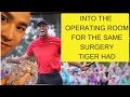 Lumbar Degenerative Disc Disease  : Part 4: INTO THE OPERATING ROOM FOR SAME SURGERY TIGER HAD