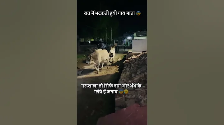 Jay shree Ram Jay Gau Mata 🙏🚩 #cow #gauseva #motivation #love #gauraksha #gaumata #sad #gaushala