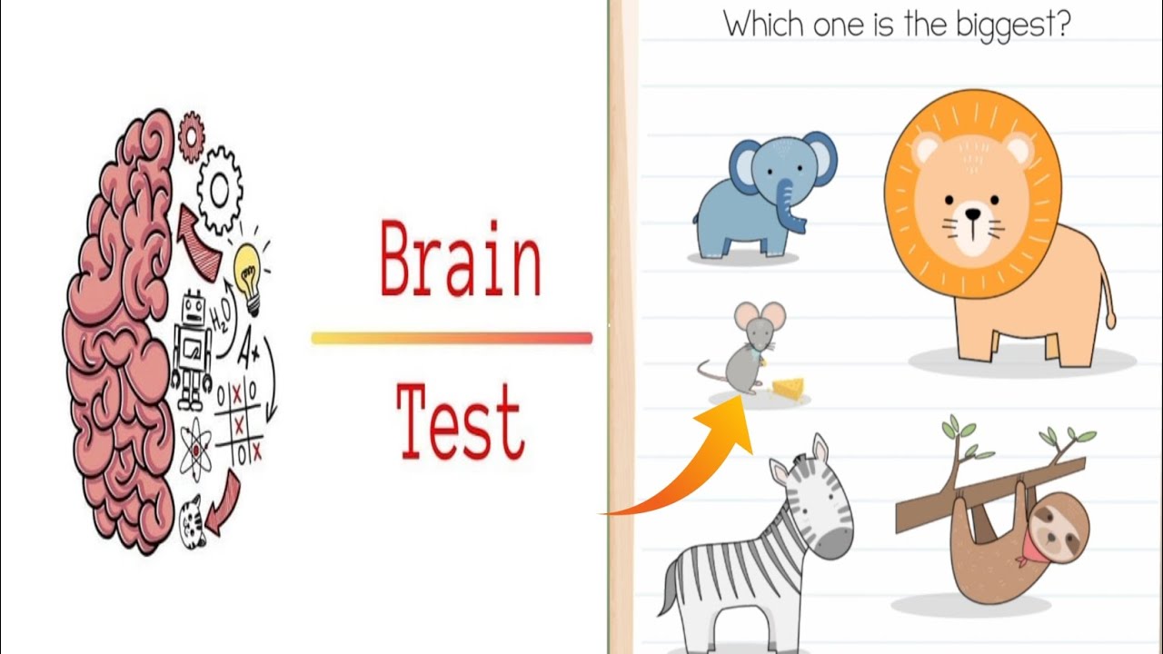 Can you solve these tricky puzzles? Challenge your brain now! | Brain ...
