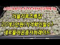 러블리로즈특집/20개3만원/가격확인필수/새로들여온종자 스피드다육010-5248-5955