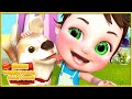 𝑵𝑬𝑾 Lost Dog Song | Bmbm Preschool Best Baby Songs #18