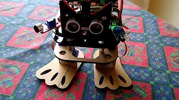 Smart Biped Dance Robot Micro:Bit experience