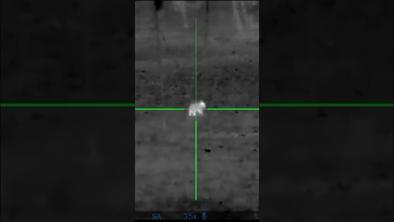 CHASING A Bunny With The THERMAL Scope!!!