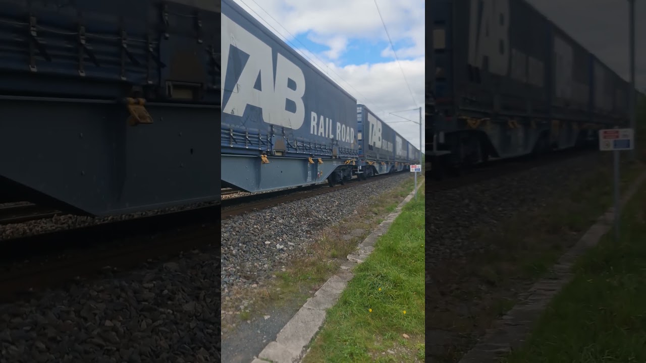 DE18 avec du fret + croisements avec une Z2