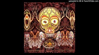 RadiRuna - Warmincita Curandera