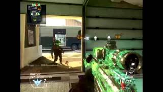 V5 Logic-Quad Feed with Zoo Sniping