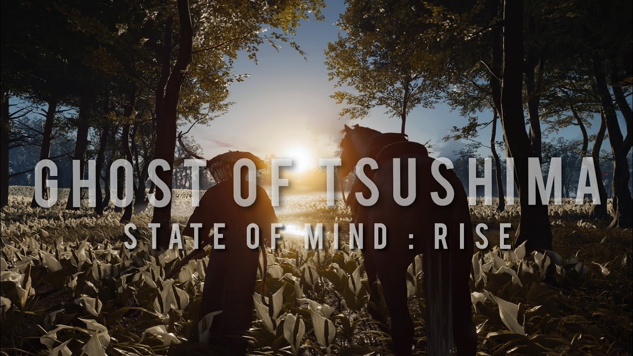 State of Mind : RISE (rock cover) - Ghost of Tsushima[GMV]