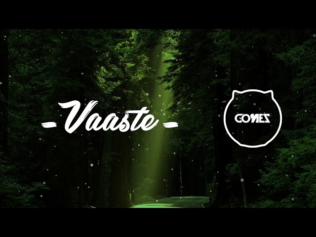 Vaaste (Gomez Lx Remix) class=