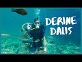 Tüplü Dalış Yapmak | Derinde Neler Var ? | Muğla Marmaris