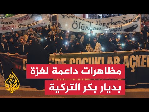 أتراك يتظاهرون في ولاية ديار بكر رفضا للحرب الإسرائيلية على غزة