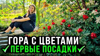 ПЕРВЫЕ ЦВЕТОЧНЫЕ ПОСАДКИ В СЛОЖНЫЙ ГРУНТ НА ГОРЕ