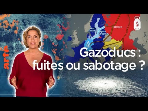 Vidéo: Nouvel ordre mondial en lien avec COVID-19