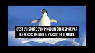 Les blagues les plus drôles du monde ! #1