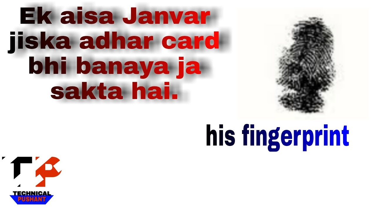 kya Kabhi Kisi Animal Ka Adhar Card Ban Sakta Hai YouTube kya-kabhi-kisi-animal-ka-adhar-card-ban-sakta-hai-youtube