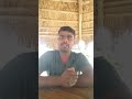 #shorts#ytshorts #sathavari#02#asparagusfern