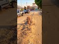 الشارع بعد تركيب مواسير المياه #السويس