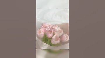 قرآن🌷سورة الكهف🌷 🌸القارئ ياسر الدوسري🌸 🍥🍃جمعة مباركة ورداتي🍥🍃 #اللهم_صل_وسلم_على_نبينا_محمد🌷🌸
