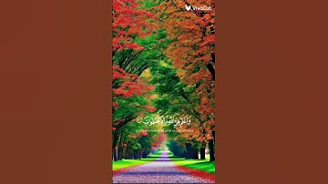 # القرآن الكريم # أكتب أسم من أسماء الله الحسنى في التعليقات #❤❤❤❤❤❤❤❤❤❤❤❤❤❤❤❤❤❤❤❤# The Holy Quran #