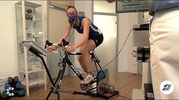 Cortex | METAMAX® 3B