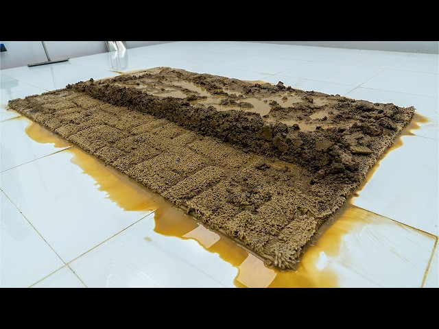 The Hardest Shaggy Rug to Clean I Almost Gave Up On This Muddy