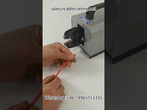 Electric Terminal Crimping Machine | Automation Equipment