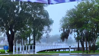 Tampa Florida suburb rain ☔ walk | 3D audio