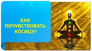 Как почувствовать косицу? Фрагмент вебинара \