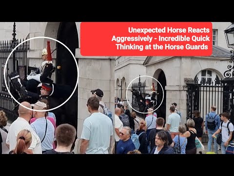 Unexpected Horse Reacts Aggressively - Incredible Quick Thinking at the Horse Guards - 4:56