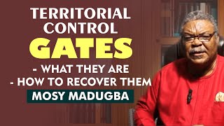 The Control Gates: What they are, How to Recover Them - Mosy Madugba