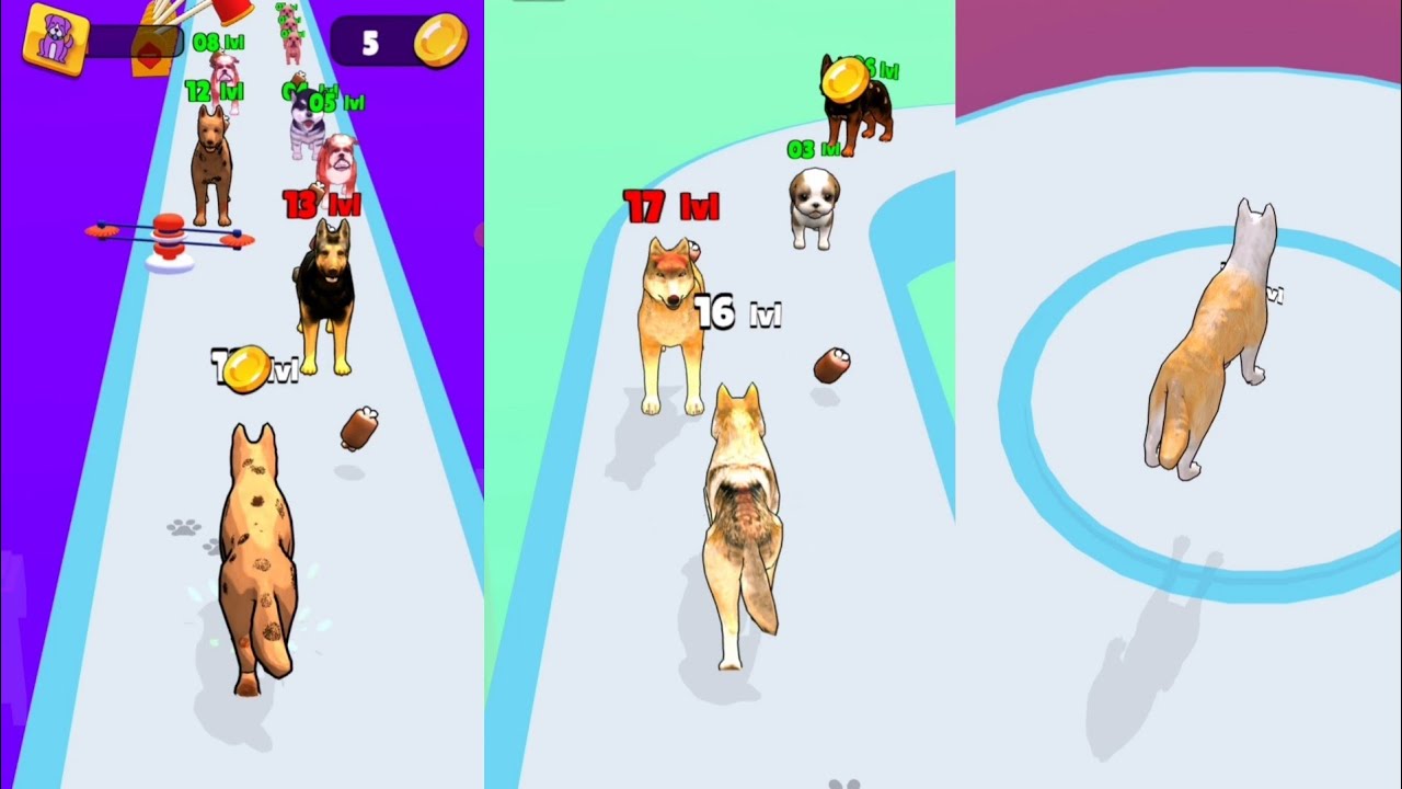 Dog Evolution Run Max Levels Gameplay Walkthrough Android IOS