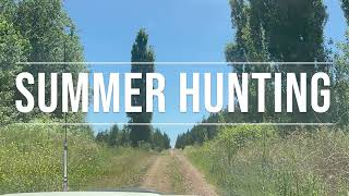 State Forest Summer Hunting // How and Where to Find Deer or Game screenshot 2